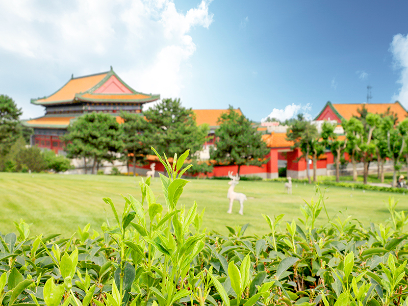 北京周边陵园中，固安施孝园是个怎样的陵园(陵园价格是多少)