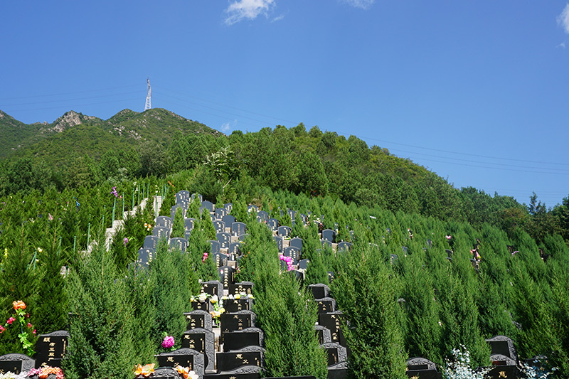 昌平殡仪馆年底业务量大吗（昌平殡仪馆地址在哪）