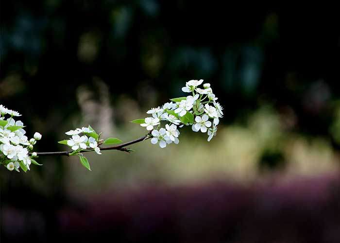 中国三个鬼节哪个比较重要（鬼节共同习俗）